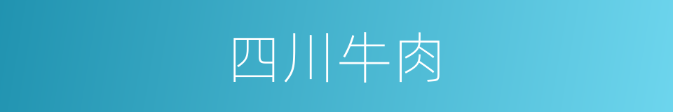 四川牛肉的同义词