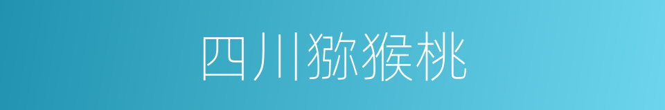 四川猕猴桃的同义词