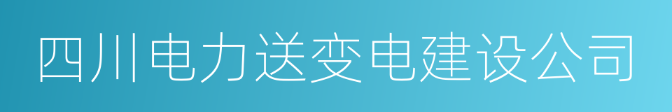 四川电力送变电建设公司的同义词