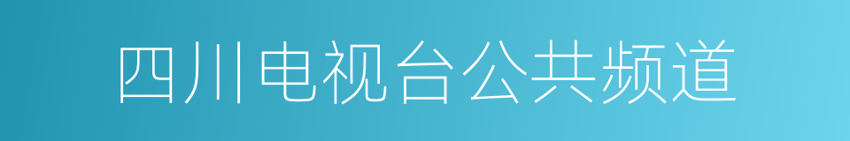 四川电视台公共频道的同义词