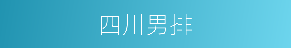 四川男排的同义词