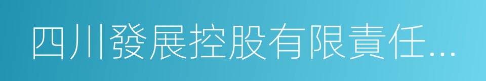 四川發展控股有限責任公司的同義詞