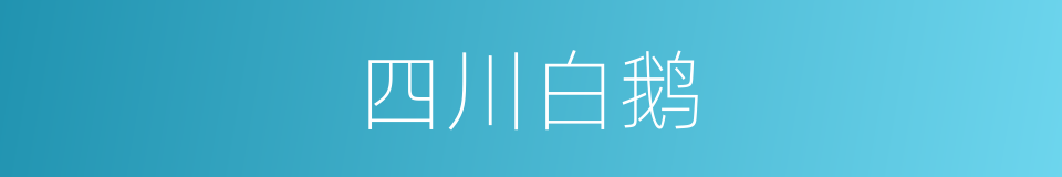 四川白鹅的同义词