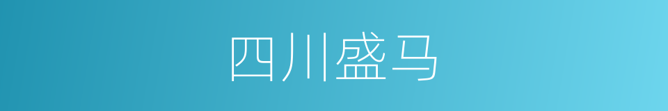 四川盛马的同义词