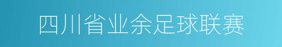 四川省业余足球联赛的同义词