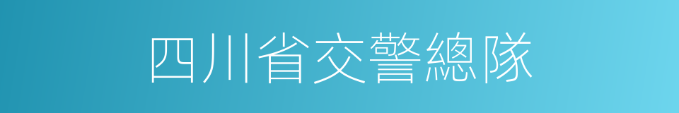 四川省交警總隊的同義詞