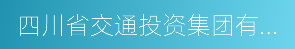 四川省交通投资集团有限责任公司的同义词