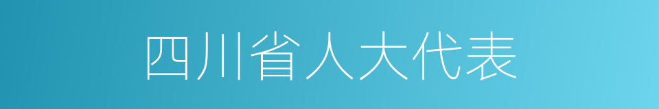 四川省人大代表的同义词