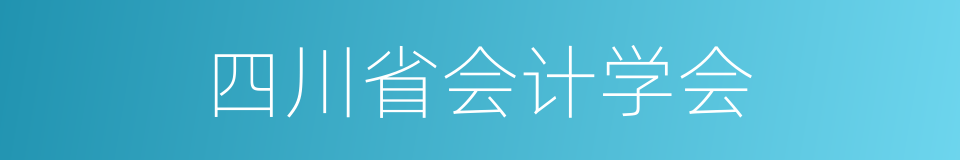 四川省会计学会的同义词