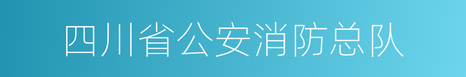 四川省公安消防总队的同义词