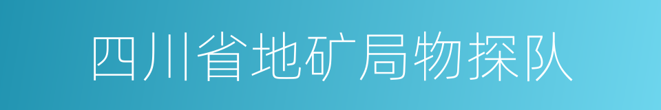 四川省地矿局物探队的同义词