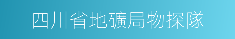 四川省地礦局物探隊的同義詞