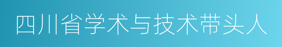 四川省学术与技术带头人的同义词