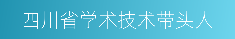 四川省学术技术带头人的同义词