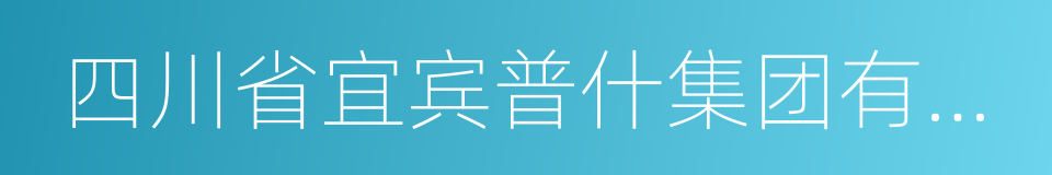 四川省宜宾普什集团有限公司的同义词