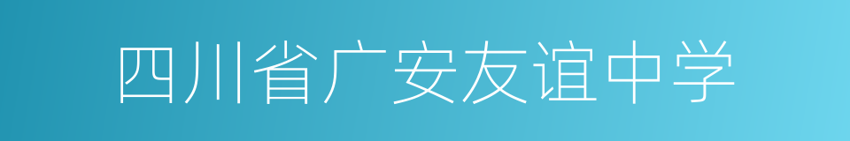 四川省广安友谊中学的同义词