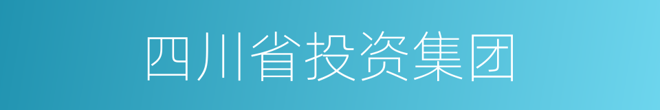 四川省投资集团的同义词