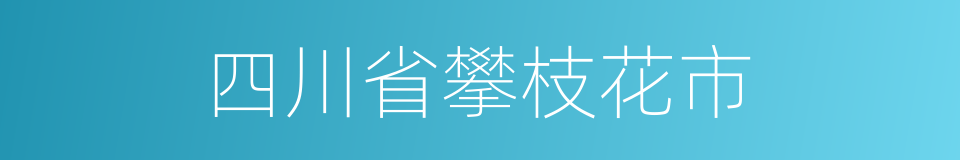 四川省攀枝花市的同义词