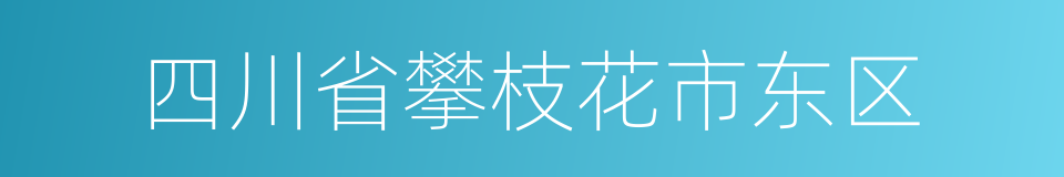 四川省攀枝花市东区的同义词