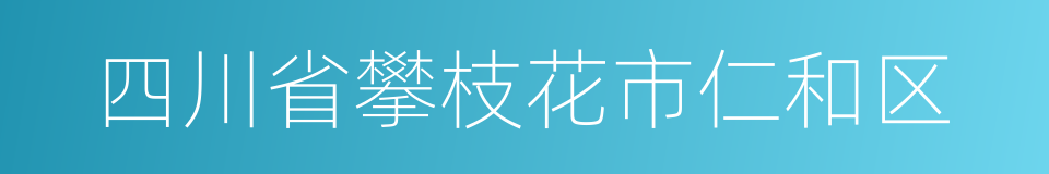 四川省攀枝花市仁和区的同义词