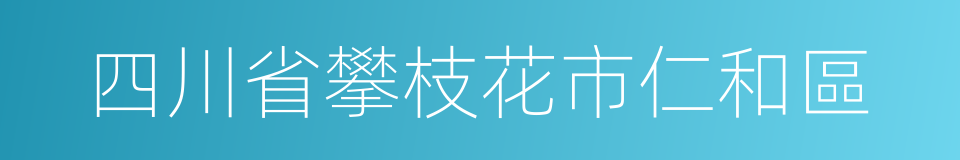 四川省攀枝花市仁和區的同義詞