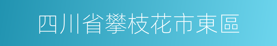 四川省攀枝花市東區的同義詞