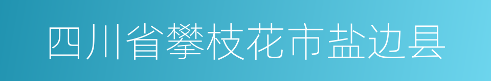 四川省攀枝花市盐边县的同义词