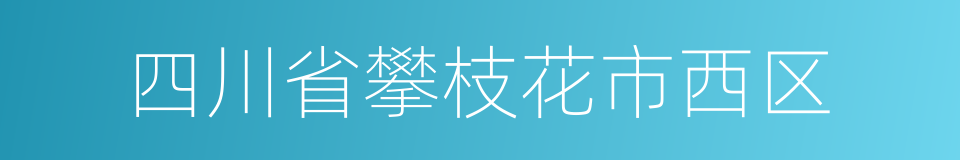 四川省攀枝花市西区的同义词