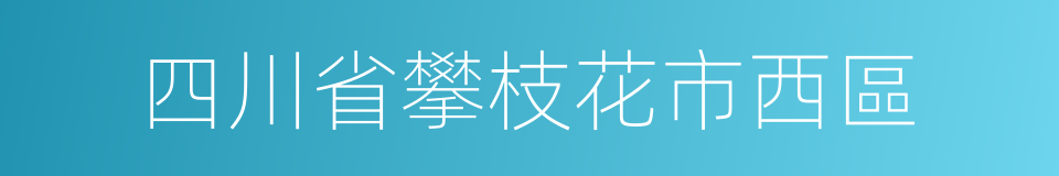 四川省攀枝花市西區的同義詞