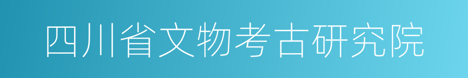 四川省文物考古研究院的同义词