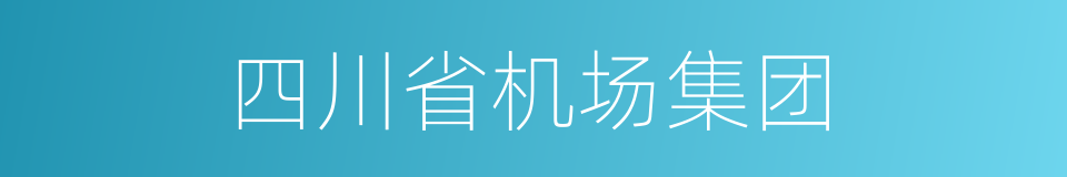 四川省机场集团的同义词