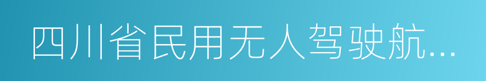 四川省民用无人驾驶航空器安全管理暂行规定的同义词