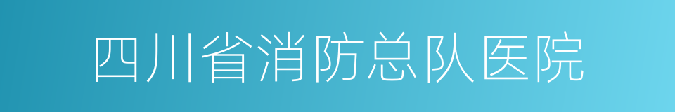 四川省消防总队医院的同义词