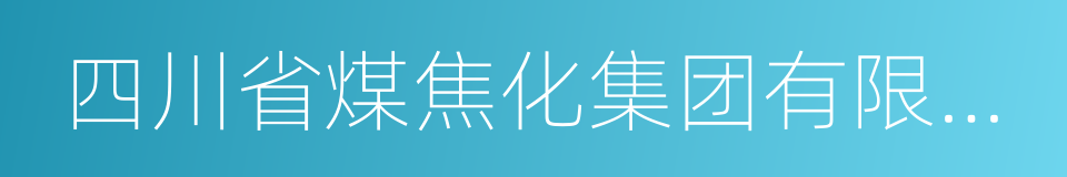 四川省煤焦化集团有限公司的同义词