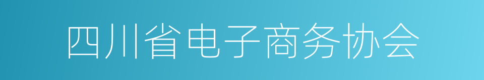 四川省电子商务协会的同义词