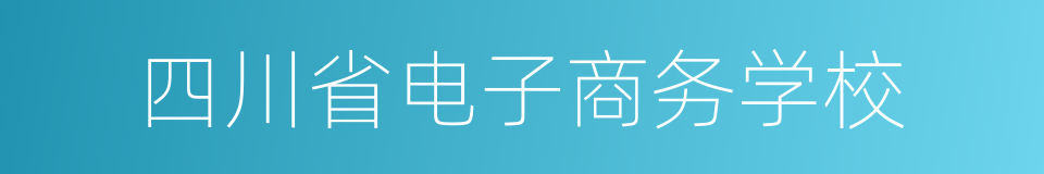 四川省电子商务学校的同义词