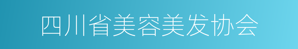 四川省美容美发协会的同义词