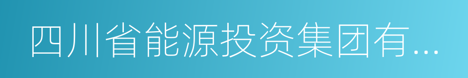 四川省能源投资集团有限责任公司的同义词