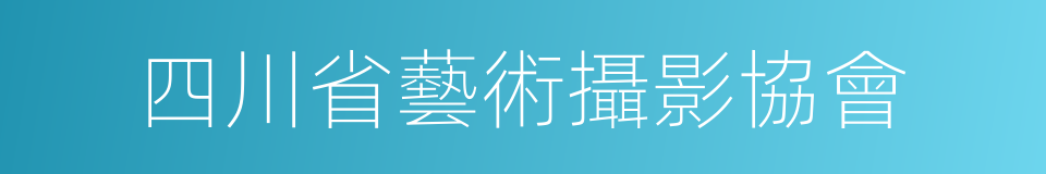 四川省藝術攝影協會的同義詞