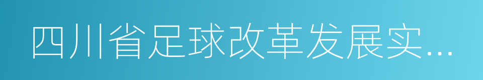 四川省足球改革发展实施意见的同义词