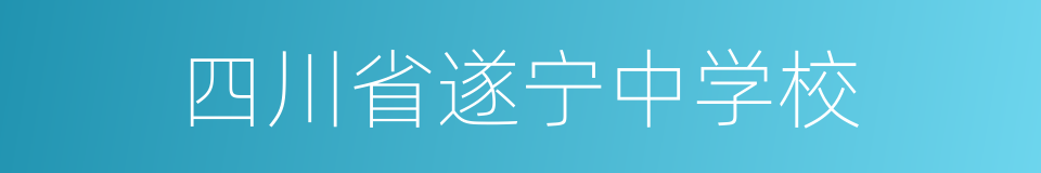 四川省遂宁中学校的同义词