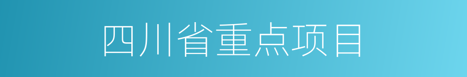 四川省重点项目的同义词