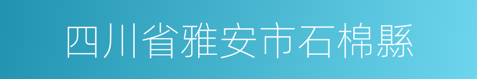 四川省雅安市石棉縣的同義詞