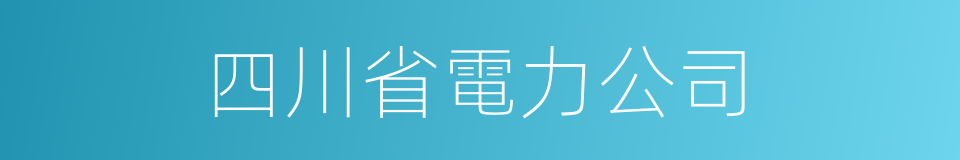 四川省電力公司的同義詞