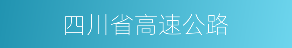 四川省高速公路的同义词