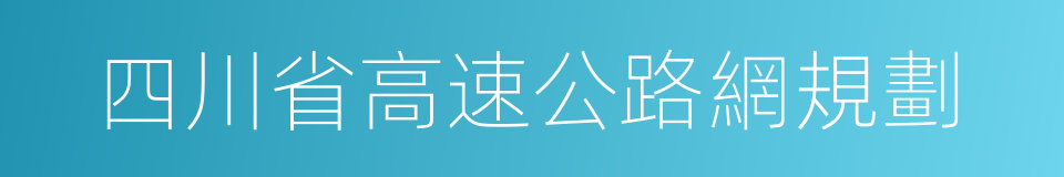 四川省高速公路網規劃的同義詞