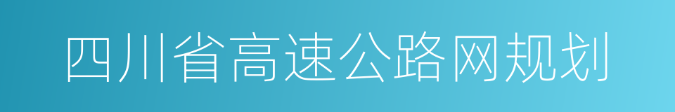 四川省高速公路网规划的同义词