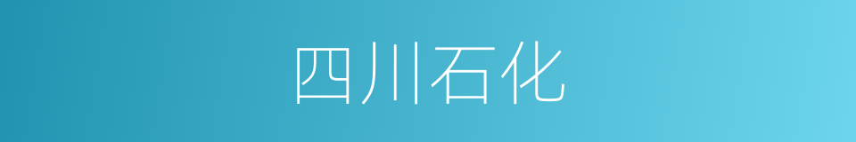 四川石化的同义词