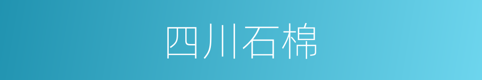 四川石棉的同义词