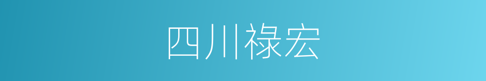 四川祿宏的同義詞